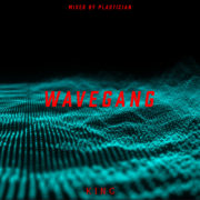 King Apparel [@kingapparel] link up with Plastician [@Plastician] for fundraising WaveGang Mix